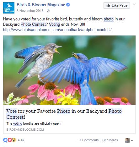 PHOTO VOTING CONTESTS